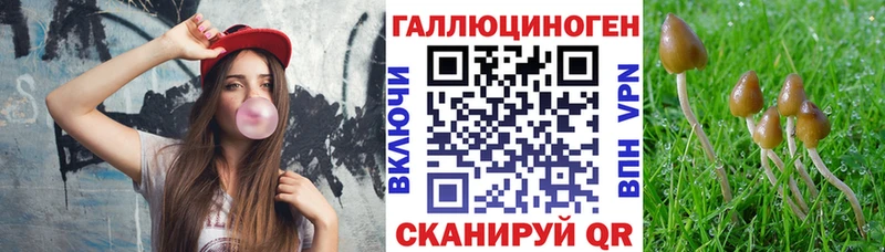 Псилоцибиновые грибы Magic Shrooms Геленджик