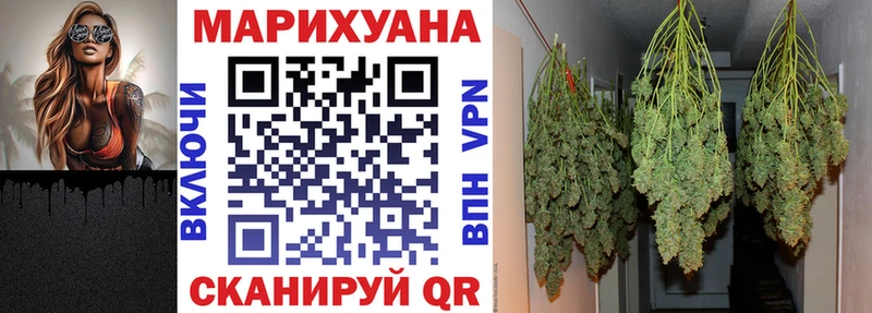 Конопля OG Kush Геленджик